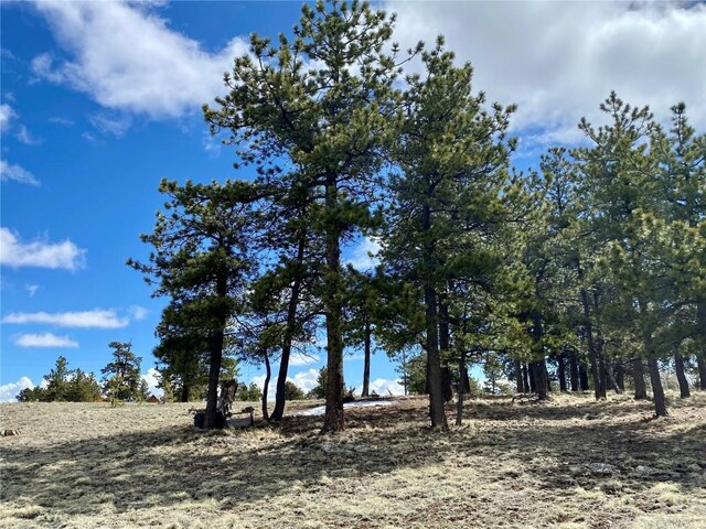 TBD Oahu Rd, Buena Vista, CO 81211 - photo 23