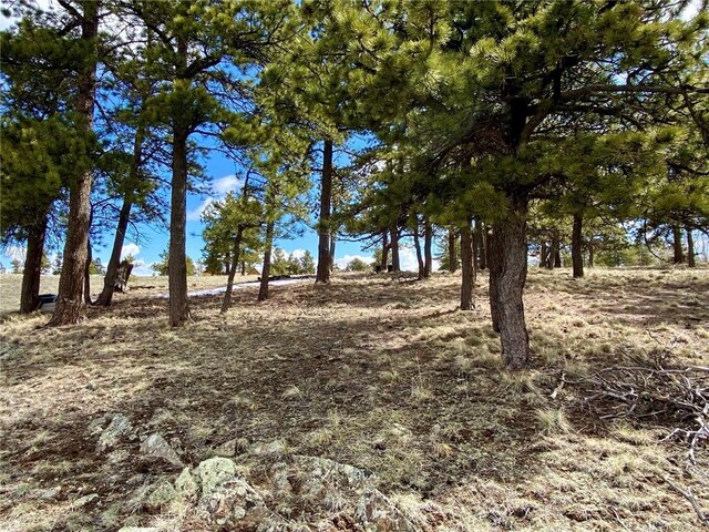TBD Oahu Rd, Buena Vista, CO 81211 - photo 20