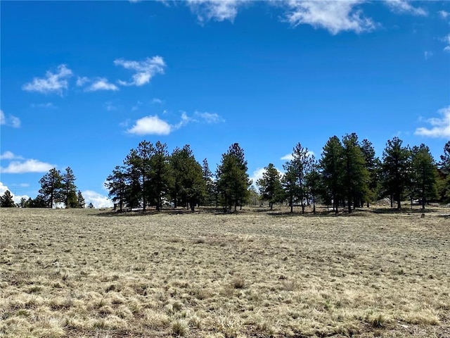 TBD Oahu Rd, Buena Vista, CO 81211 - photo 16