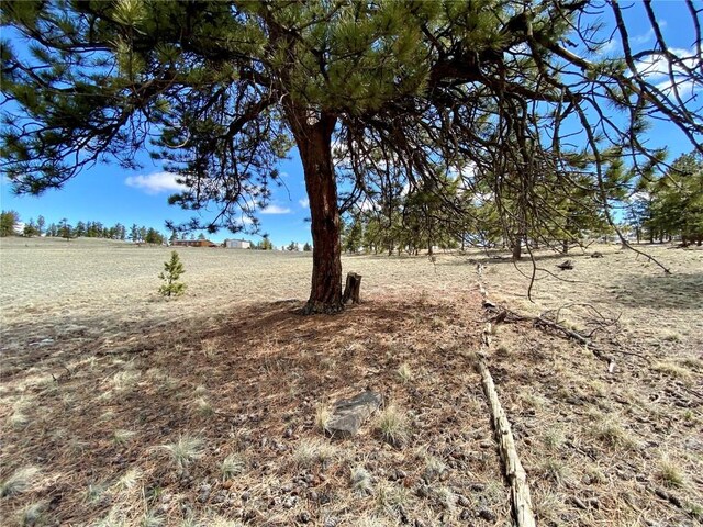 TBD Oahu Rd, Buena Vista, CO 81211 - photo 41