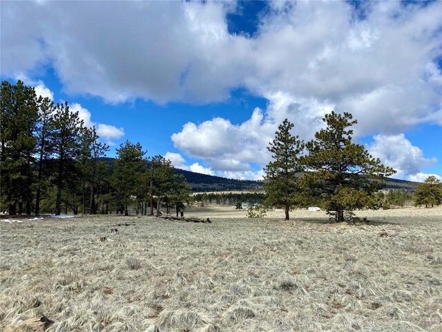 TBD Oahu Rd, Buena Vista, CO 81211 - photo 22