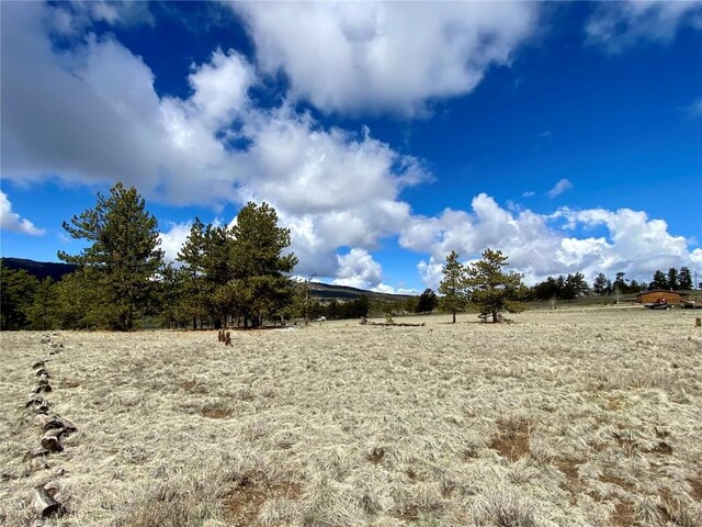 TBD Oahu Rd, Buena Vista, CO 81211 - photo 33