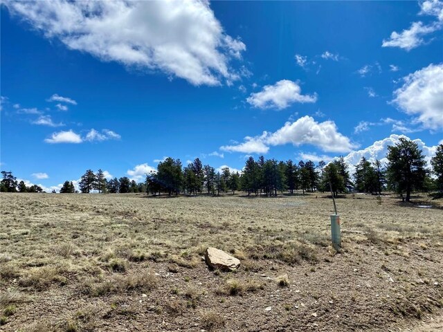 TBD Oahu Rd, Buena Vista, CO 81211 - photo 27