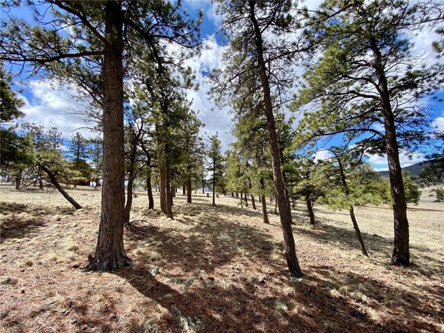 TBD Oahu Rd, Buena Vista, CO 81211 - photo 21