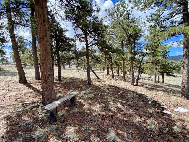 TBD Oahu Rd, Buena Vista, CO 81211 - photo 8