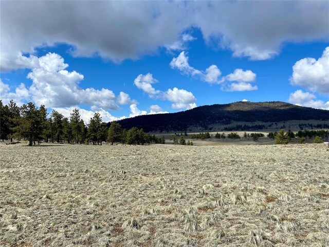 TBD Oahu Rd, Buena Vista, CO 81211 - photo 13