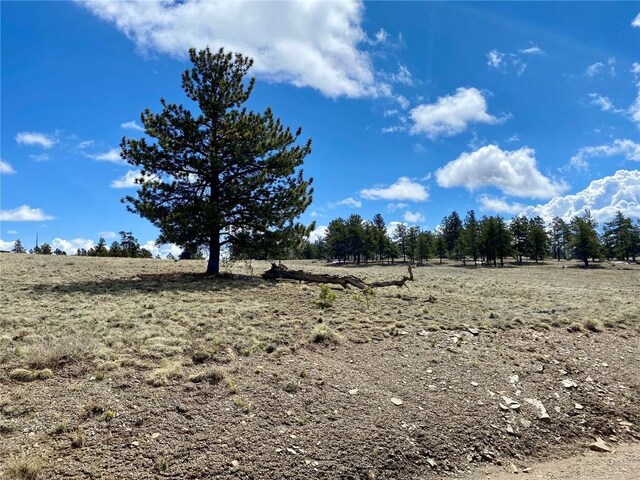 TBD Oahu Rd, Buena Vista, CO 81211 - photo 25