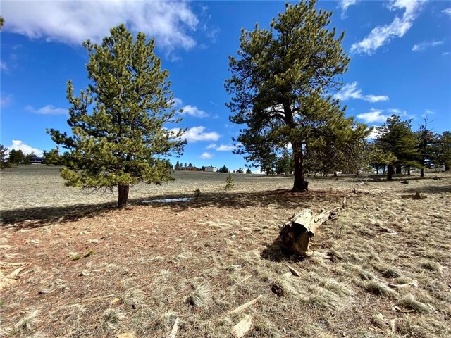 TBD Oahu Rd, Buena Vista, CO 81211 - photo 11