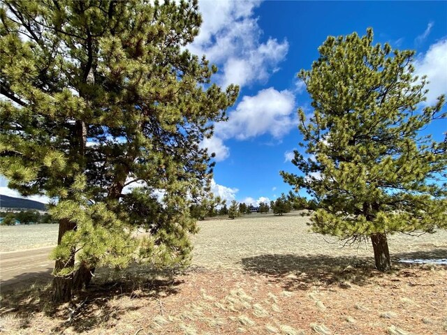 TBD Oahu Rd, Buena Vista, CO 81211 - photo 10