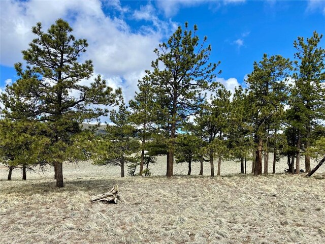 TBD Oahu Rd, Buena Vista, CO 81211 - photo 2