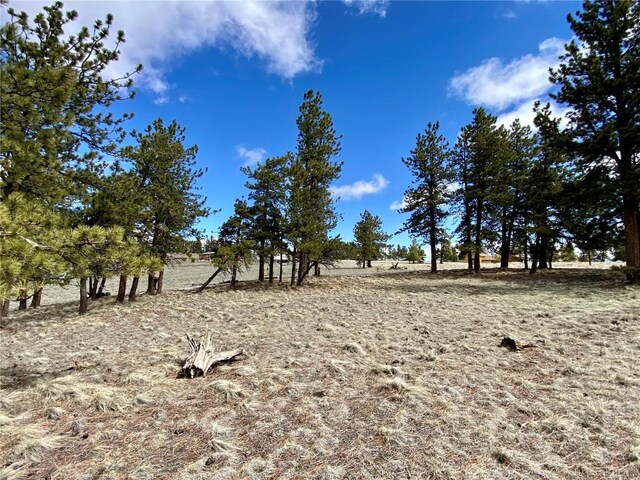 TBD Oahu Rd, Buena Vista, CO 81211 - photo 36