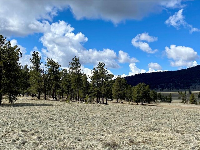 TBD Oahu Rd, Buena Vista, CO 81211 - photo 4