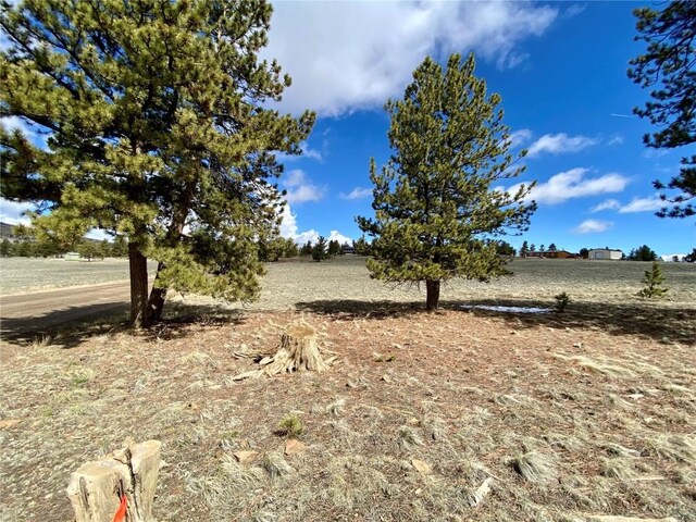 TBD Oahu Rd, Buena Vista, CO 81211 - photo 43