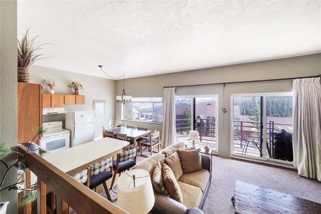 living area featuring carpet flooring and a textured ceiling