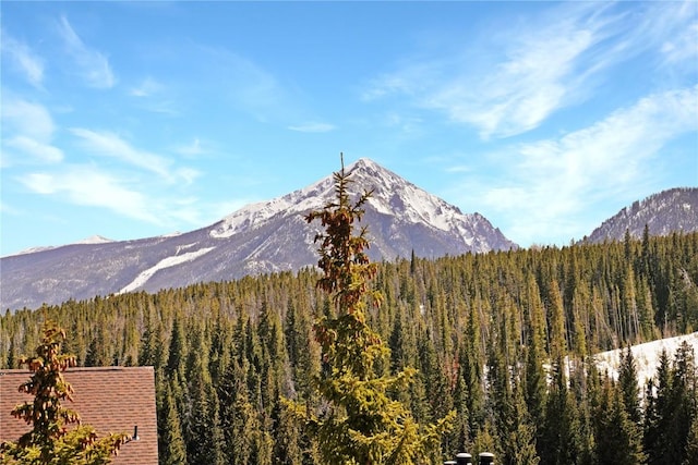 view of mountain feature with a wooded view