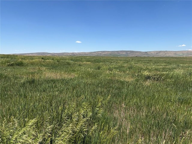 38300 Cattails Ct, Hayden, CO 81639