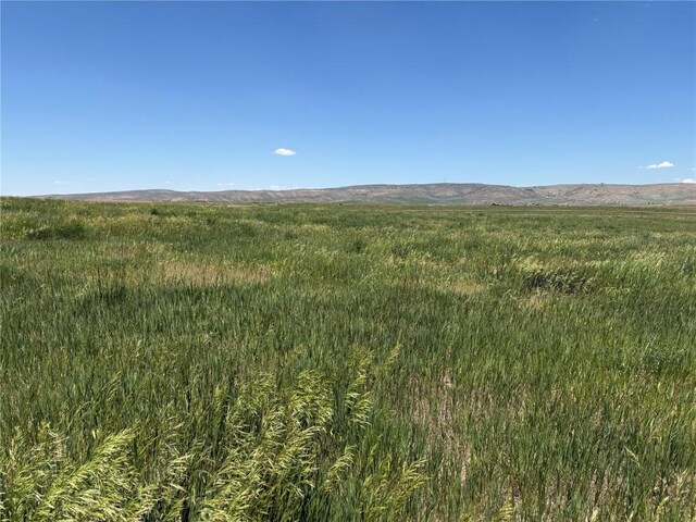 38300 Cattails Ct, Hayden, CO 81639 - photo 1