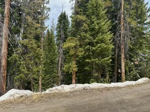 584 Camron Ln, Breckenridge, CO 80424
