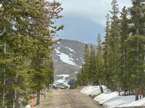 584 Camron Ln, Breckenridge, CO 80424