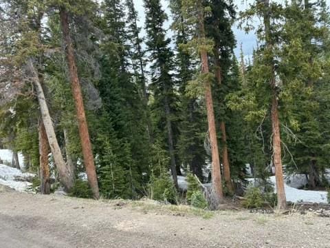 584 Camron Ln, Breckenridge, CO 80424