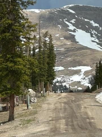 584 Camron Ln, Breckenridge, CO 80424