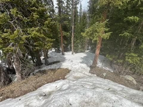 584 Camron Ln, Breckenridge, CO 80424