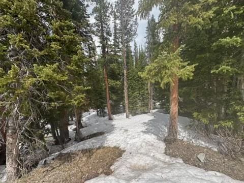 584 Camron Ln, Breckenridge, CO 80424