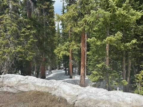 584 Camron Ln, Breckenridge, CO 80424