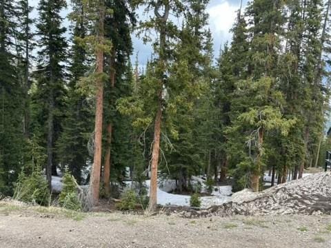 584 Camron Ln, Breckenridge, CO 80424