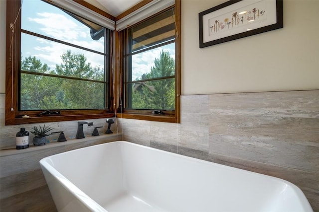 1511 Harwig Cir, Steamboat Springs, CO 80487 - full bathroom featuring a soaking tub