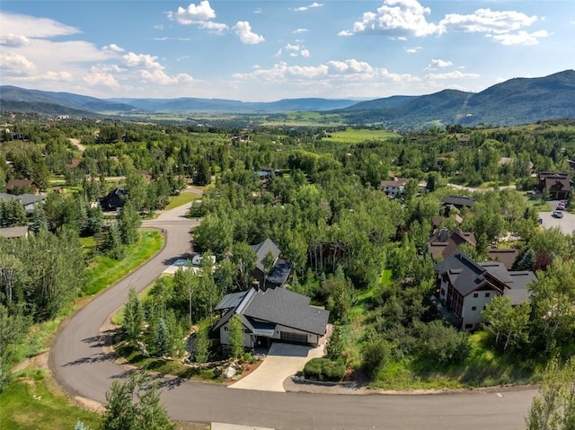 1511 Harwig Cir, Steamboat Springs, CO 80487 - birds eye view of property with a view of trees and a mountain view