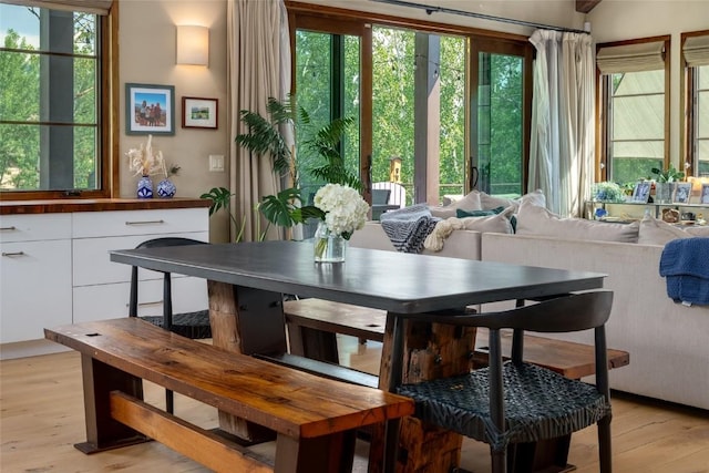 1511 Harwig Cir, Steamboat Springs, CO 80487 - dining room featuring light wood finished floors and a wealth of natural light