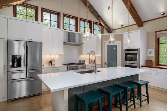1511 Harwig Cir, Steamboat Springs, CO 80487 - kitchen with wall chimney range hood, a sink, light wood-style floors, stainless steel appliances, and white cabinetry