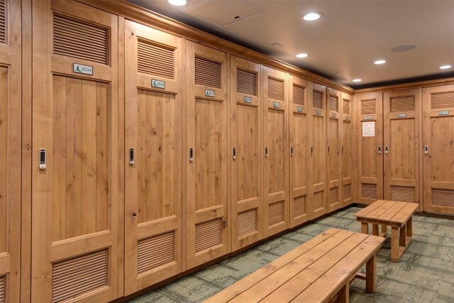 280 Trailhead Dr Unit 3037, Keystone, CO 80435 - mudroom featuring wooden walls, carpet, and recessed lighting