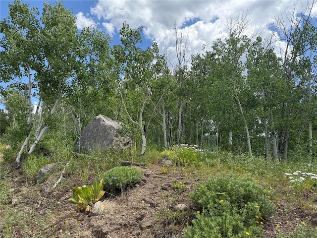 33413 Tewa Way, Oak Creek, CO 80467