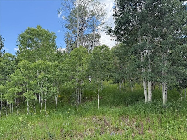 33413 Tewa Way, Oak Creek, CO 80467