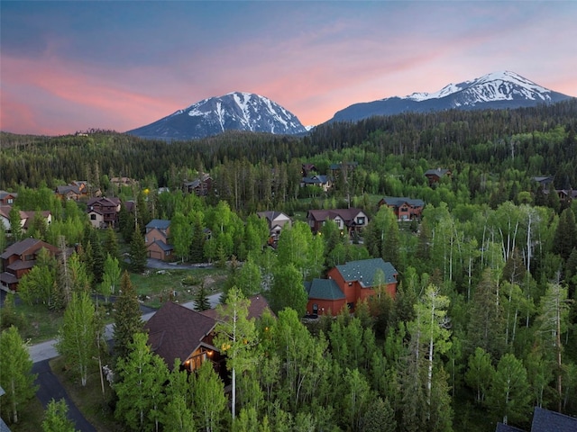 736 Wild Rose Rd, Silverthorne, CO 80498 - mountain view with a forest