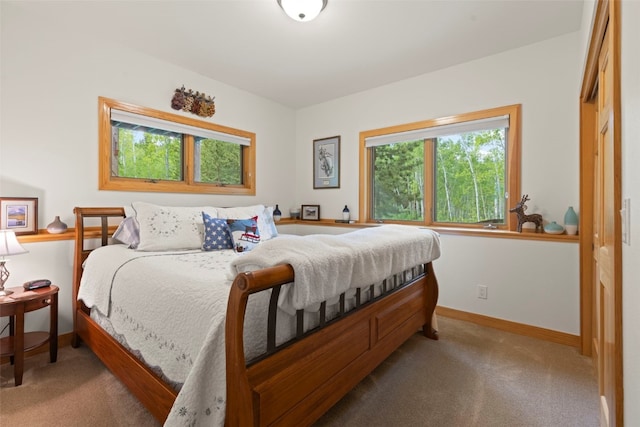 736 Wild Rose Rd, Silverthorne, CO 80498 - carpeted bedroom with baseboards