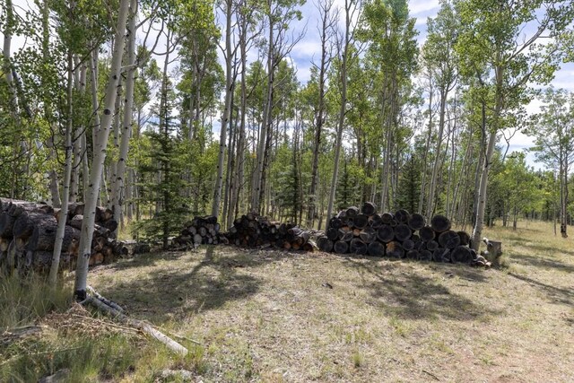 33 Sugar Loaf Ln, Jefferson, CO 80456 - view of nature