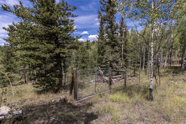 33 Sugar Loaf Ln, Jefferson, CO 80456 - view of local wilderness featuring a forest view