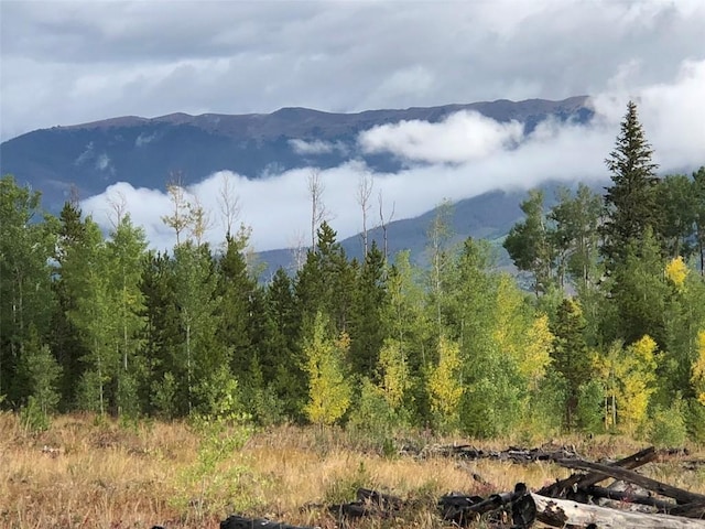2510 Ryan Gulch Rd Unit 2512, Silverthorne, CO 80498 - view of mountain background