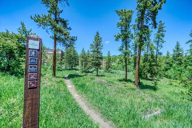 4040 Silverheels Dr Unit 25, Silverthorne, CO 80498 - photo 43