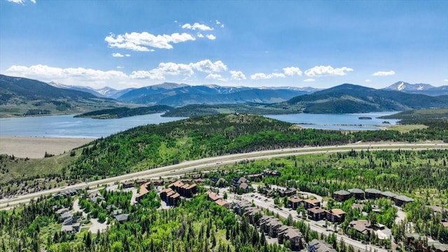 4040 Silverheels Dr Unit 25, Silverthorne, CO 80498 - photo 38