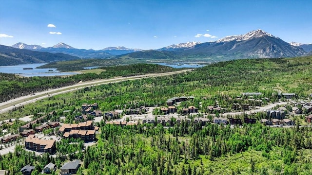 4040 Silverheels Dr Unit 25, Silverthorne, CO 80498 - photo 39