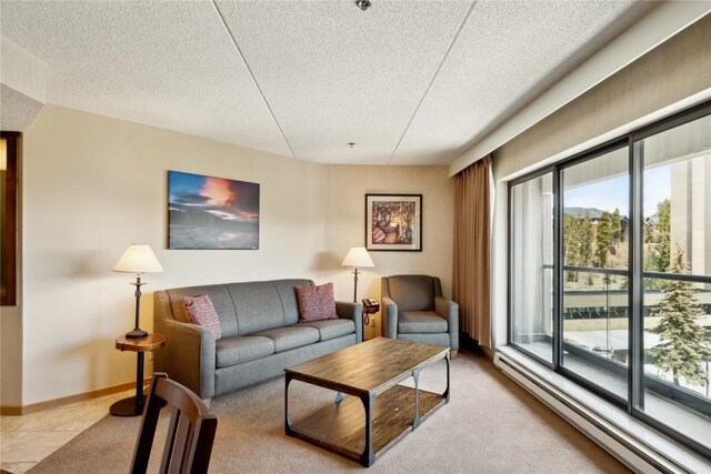 640 Village Rd Unit 4423, Breckenridge, CO 80424 - living area with baseboard heating, a textured ceiling, and plenty of natural light