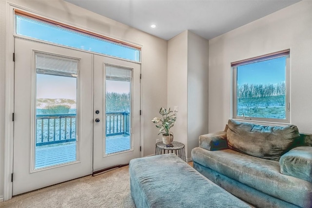 53 Anhinga Rd, Como, CO 80432 - sitting room with a healthy amount of sunlight, light colored carpet, and french doors