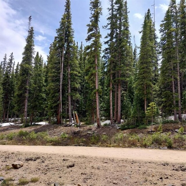 345 Bum Dr, Fairplay, CO 80440 - photo 8