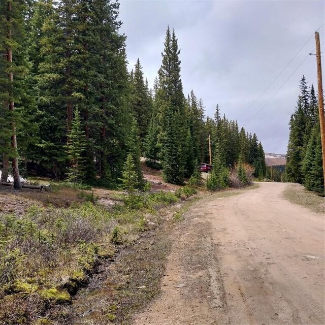 345 Bum Dr, Fairplay, CO 80440 - photo 6