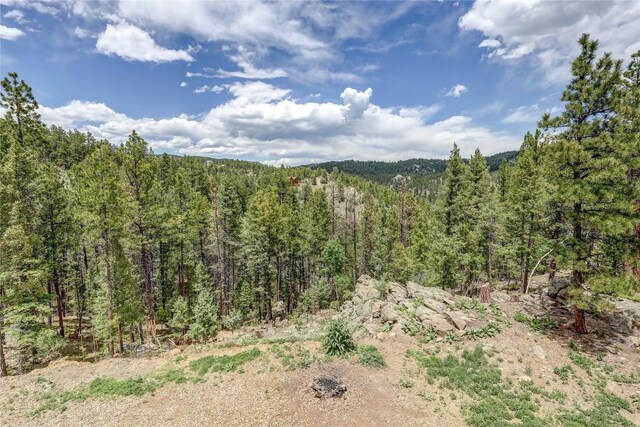 205 Blueberry Trl, Bailey, CO 80421
