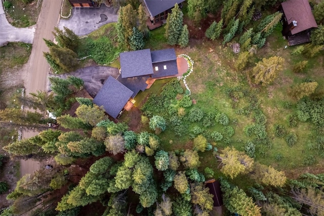 89 Wilderness Dr, Breckenridge, CO 80424 - aerial overview of property's location